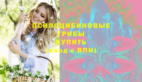 дурь Кинешма