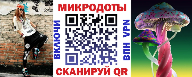 Купить закладки  Переславль-Залесский  Галлюциногенные грибы Psilocybe 