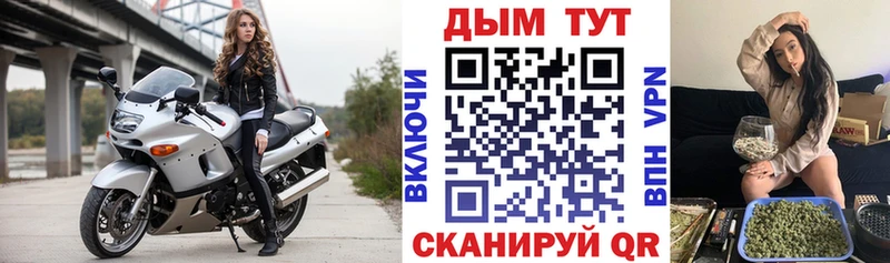 Бошки Шишки семена  Купить где  Переславль-Залесский 